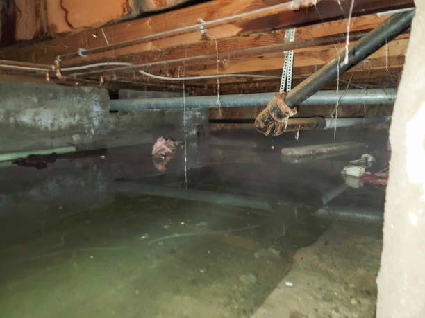 Best 24/7 water damage repair  in Adamstown, PA