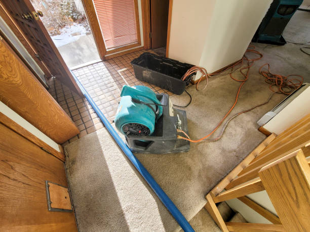Best Carpet water damage restoration  in Adamstown, PA