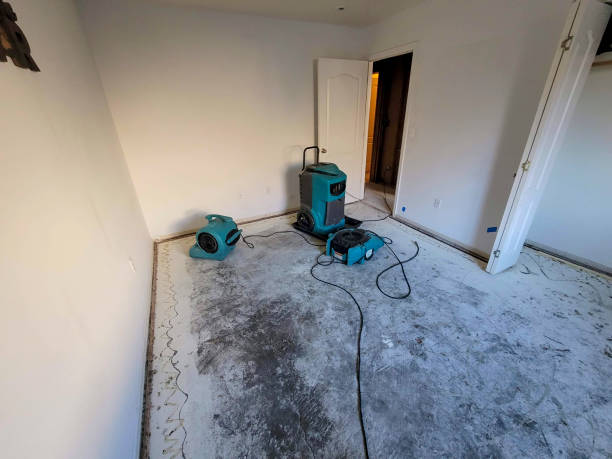 Best Ceiling water damage repair  in Adamstown, PA