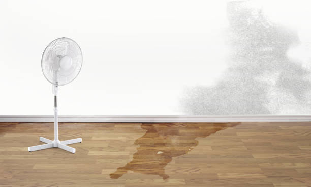Best Fire Damage Restoration  in Adamstown, PA
