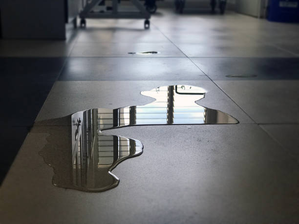 Best Water damage restoration near me  in Adamstown, PA