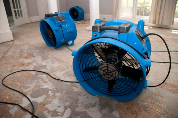 Best Flood restoration services  in Adamstown, PA