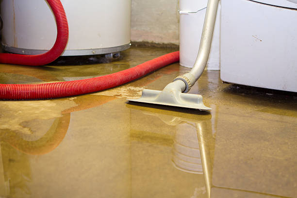 Best Water damage restoration mold remediation  in Adamstown, PA