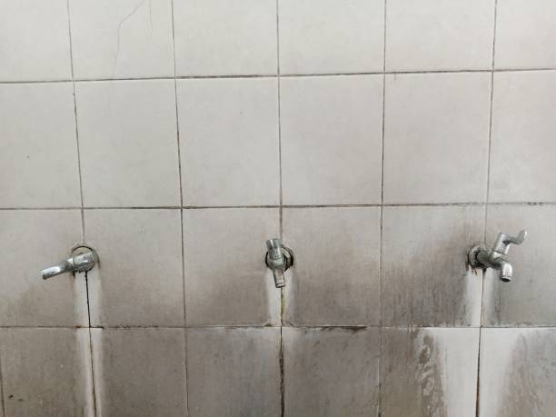 Best Water damage restoration services  in Adamstown, PA