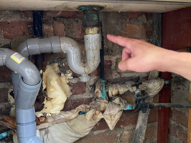 Best Water damage cleanup near me  in Adamstown, PA