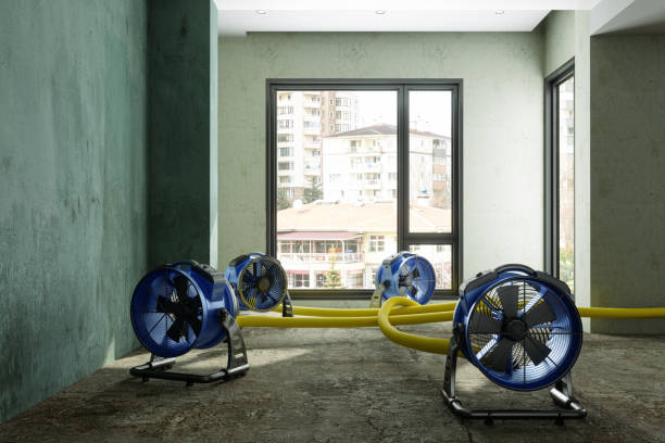 Best Sewage cleanup and water damage restoration  in Adamstown, PA